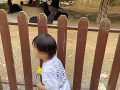 -泉州海丝野生动物世界