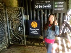 -怀托摩萤火虫洞