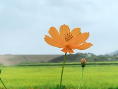 -光明小镇欢乐田园