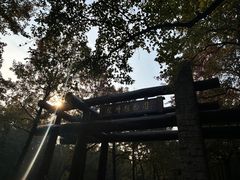 -杭州植物园