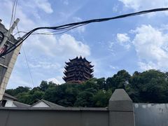 -黄鹤楼公园(黄鹤楼)