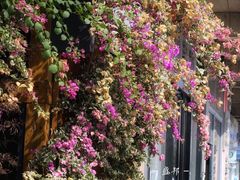 -盛邦家居建材广场