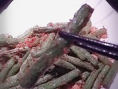 -凤凰湘语·湘粤鲜融(浦东旗舰店)