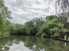 -西溪国家湿地公园