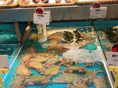 水产区-必点海鲜·鲅鱼水饺(鞍山西道店)