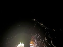 -怀托摩萤火虫洞