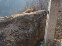 -北京凤凰岭