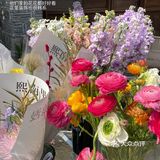 周末去哪玩｜库迪.熙南里.“赏花”