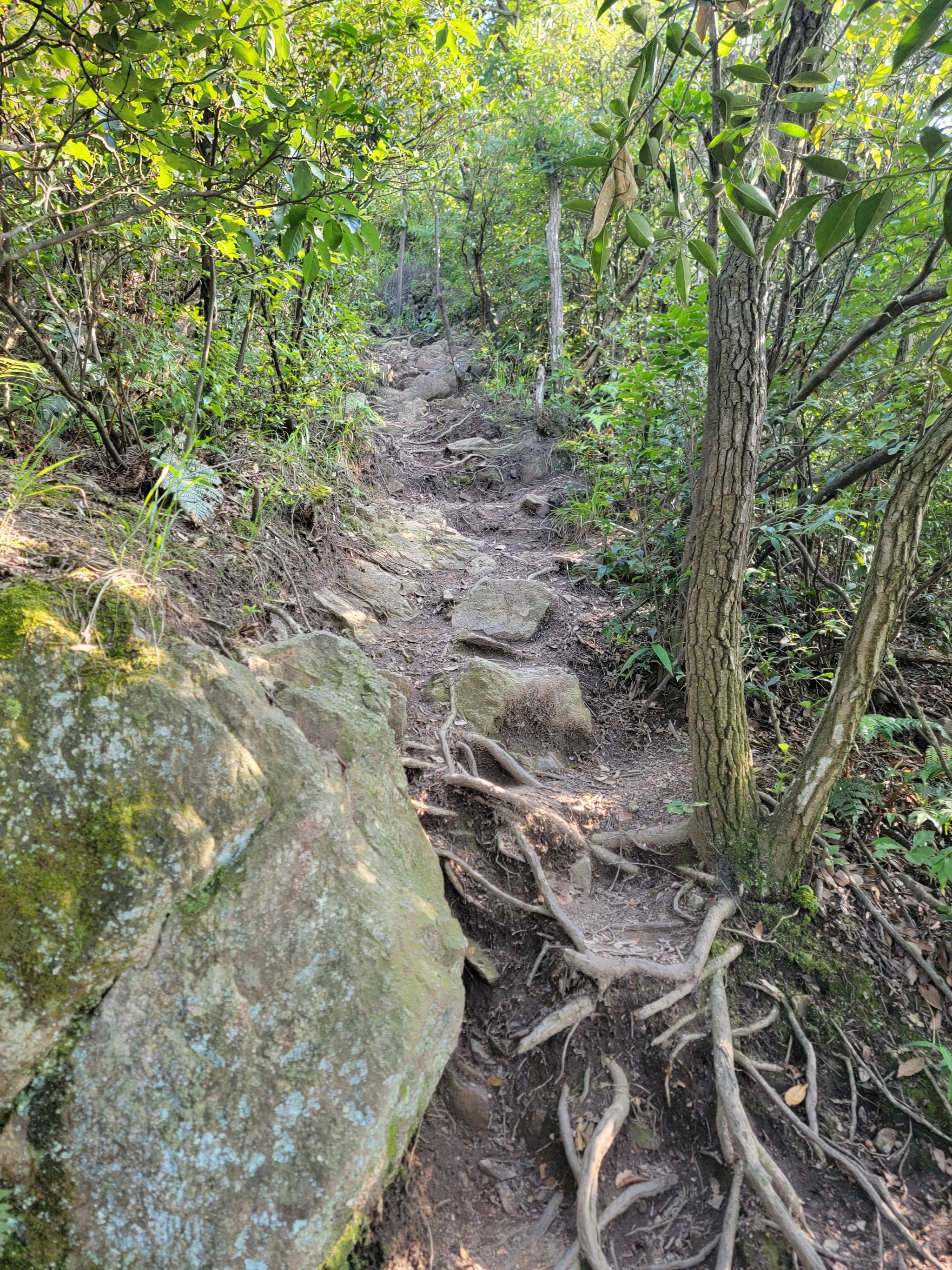 地铁到小和山途径第二公墓上山前面路段