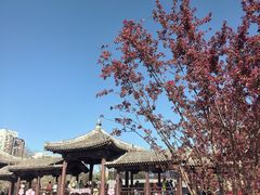 -元大都城垣遗址公园