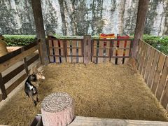 -清迈夜间动物园