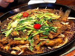 -老板恋上鱼(恒隆广场店)