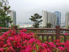 -狐尾山公园