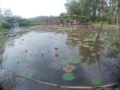 -中国科学院西双版纳热带植物园