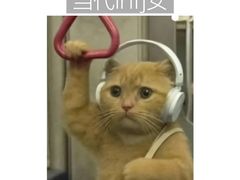 -尹氏汤包(朝天宫店)