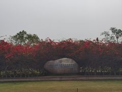 -中国科学院西双版纳热带植物园