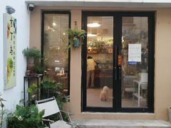 -吉丁鸟咖·异宠·寄养