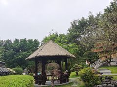 -深圳国际园林花卉博览园