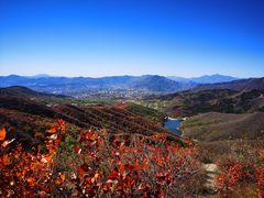 -北京西山国家森林公园