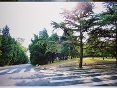 -八大关景区