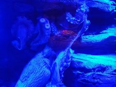 -沈阳海洋探索中心