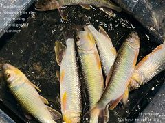 -马家湾湿地公园