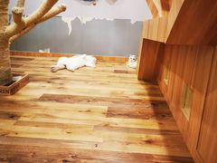 -袖虎·猫馆(体育西路店)