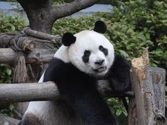 -黔灵山公园