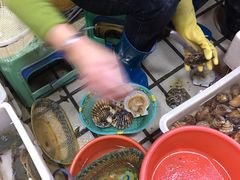 -老字号蛇口德记烧腊饭店·海鲜加工