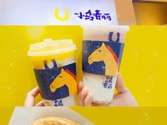 -春丽小马(济南恒隆广场店)