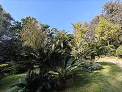 -攀枝花公园
