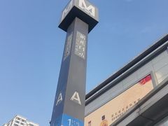 -循礼门鲜花花市(武汉循礼门店)