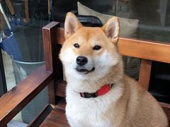 -HAPPEN(江川东路店)