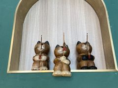 -飞行喵MR PILOT|猫舍·猫咖(静安大融城店)