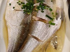 清蒸白水鱼-锡和无锡菜(景丽苑店)