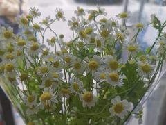 -雪蔓之鲜花气球派对(家佳源时代中心店)