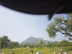 -中岳庙