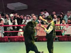 -俄罗斯国家大马戏团