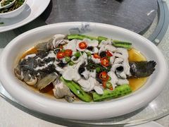 鲜花椒蒸笋壳鱼-德云居