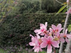 -狐尾山公园
