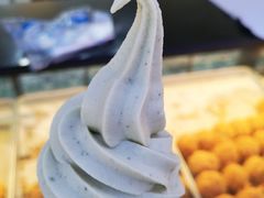 -老香港蛋糕