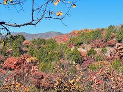 -北京西山国家森林公园