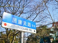 -八大关景区