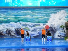 -多彩贵州城极地海洋世界