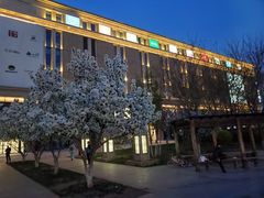 -远洋未来广场(育慧北路店)