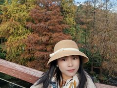 -云溪植物园
