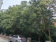 -苏州市姑苏区少年宫(沧浪分部)