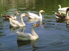 -西安秦岭野生动物园