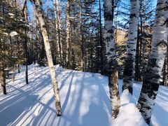-峡谷浮石林景区