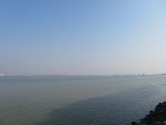 -大湾区中央湿地公园